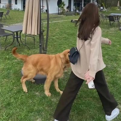 漆黑的子弹